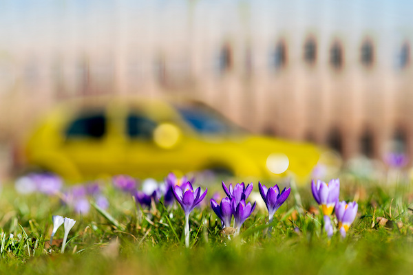 Tips for Preparing Your Car for Spring